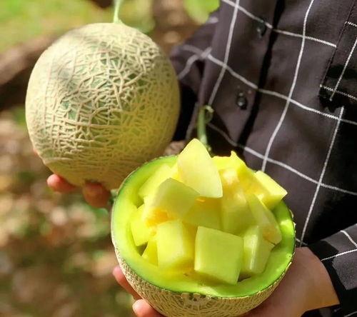 娱乐圈有什么瓜可以吃吗,揭秘明星幕后故事与热点事件  第2张