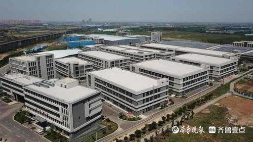 石家庄二环爆料案件最新,真相揭晓，疑云散去，正义终至  第3张